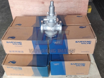 Van Sam Yang Hàn Quốc: Các Biện Pháp An Toàn Lao Động Bảo Vệ Người Sử Dụng